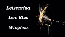 Video thumb for Leisenring Iron Blue Wingless