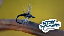 Video thumb for Hatching Midge