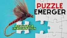 Video thumb for Puzzle emerger