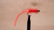 Video thumb for Dynamite Balanced Leech