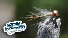 Video thumb for CDC BWO Perdigon