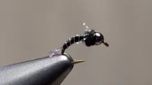 Video thumb for Half Pint Midge