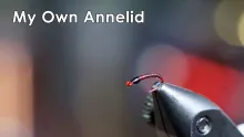 Video thumb for Black Licorice Candy Cane Annelid