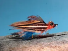 User submitted picture: The Simington