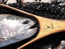 User submitted picture: Head II