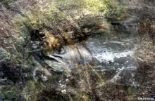 User submitted picture: This image is the result ...