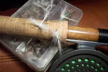 User submitted picture: A selection for the Augus...