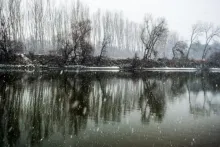 User submitted picture: Snowfall