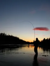 User submitted picture: Fish on the night by www....