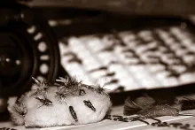 User submitted picture: Ready to go