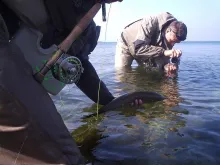 User submitted picture: GFF summit '06. Me (Ripl...