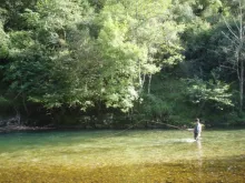 User submitted picture: June 2008. Salmon. fly fi...