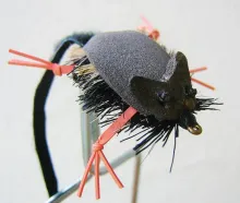 User submitted picture: Mouse!!!!