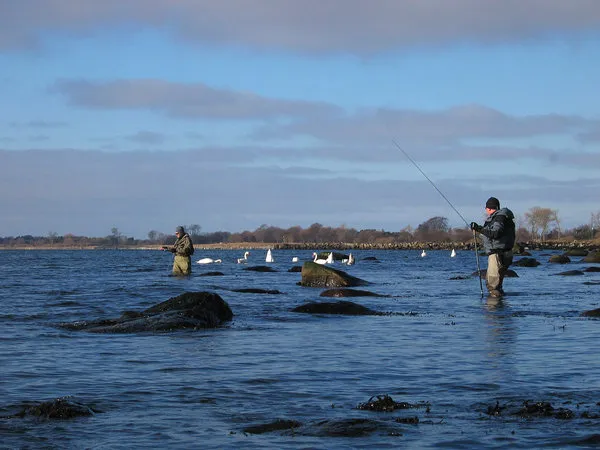 Rocky Horror Show! - The southern coast of Sweden can make anybody think of the hazards of wading