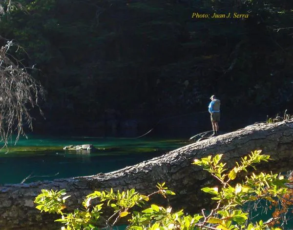 User submitted picture: Lights and shadows in a h...