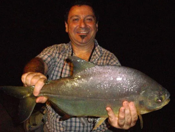 User submitted picture: Brazilian pacu in the aft...