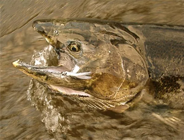 User submitted picture: Old and Beautiful