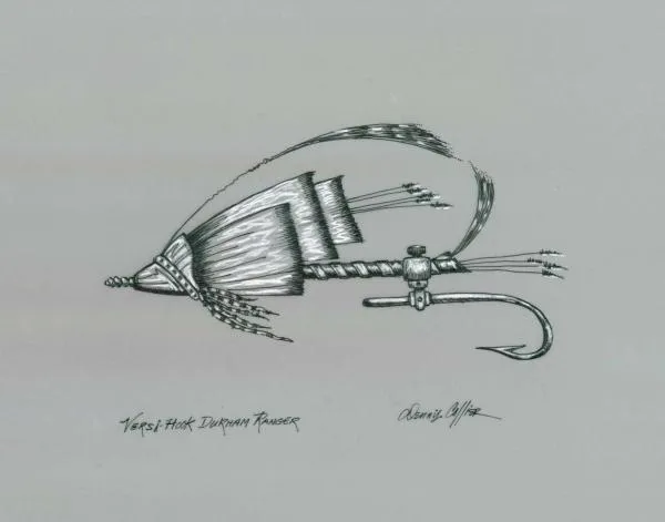 User submitted picture: Fly of the Future ~ Versi...