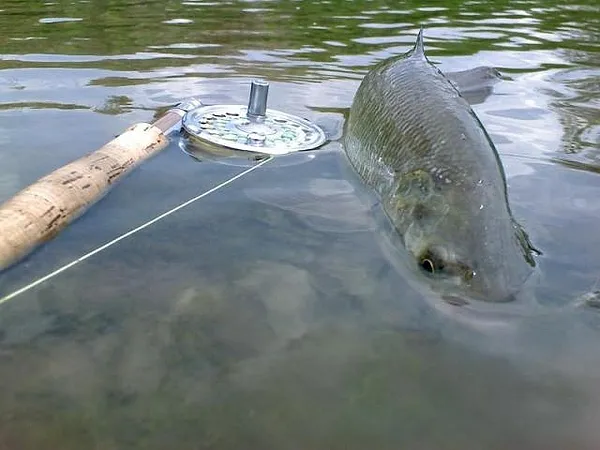 User submitted picture: Smile, please!