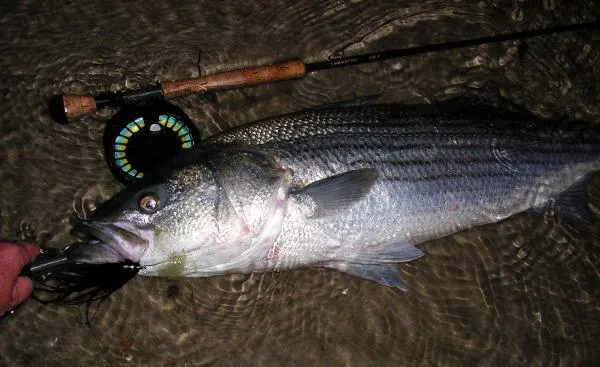 User submitted picture: O'dark thirty June herrin...