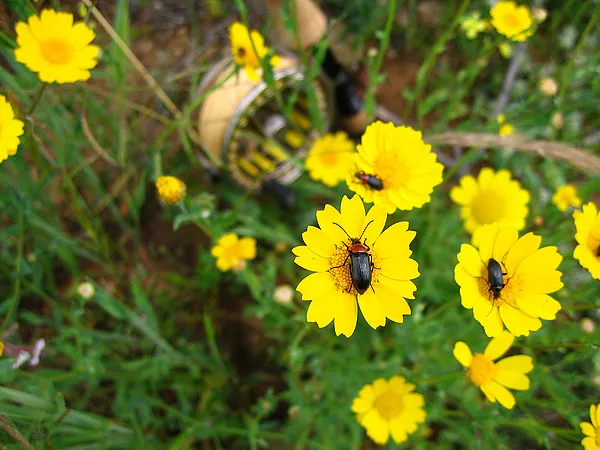 User submitted picture: The best time to go for b...