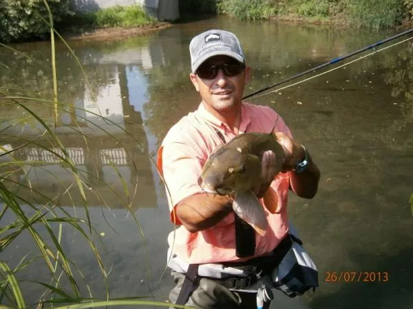 User submitted picture: Barbel captured with the ...