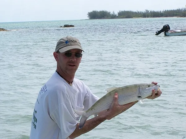 User submitted picture: Infront of "Knoll's Lan...