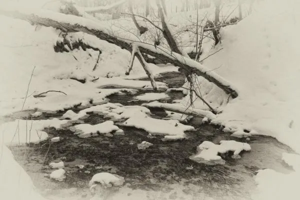 User submitted picture: winter spell (3)