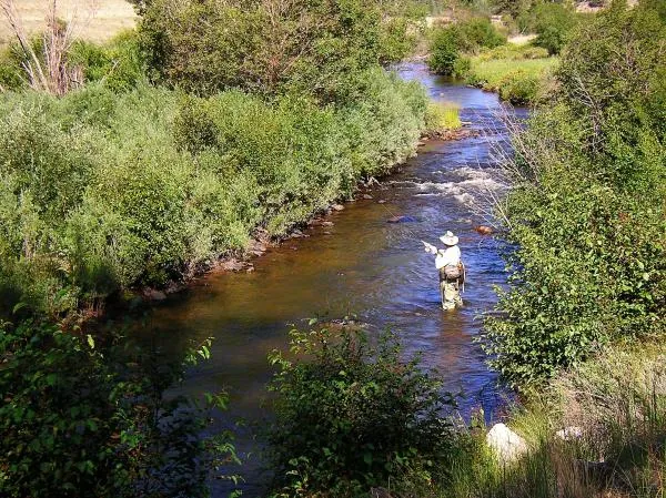 User submitted picture: Working streamers on the ...