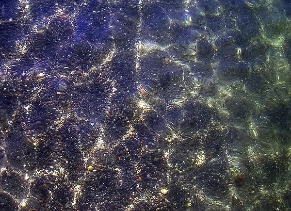 User submitted picture: Sand and shingle.
David ...